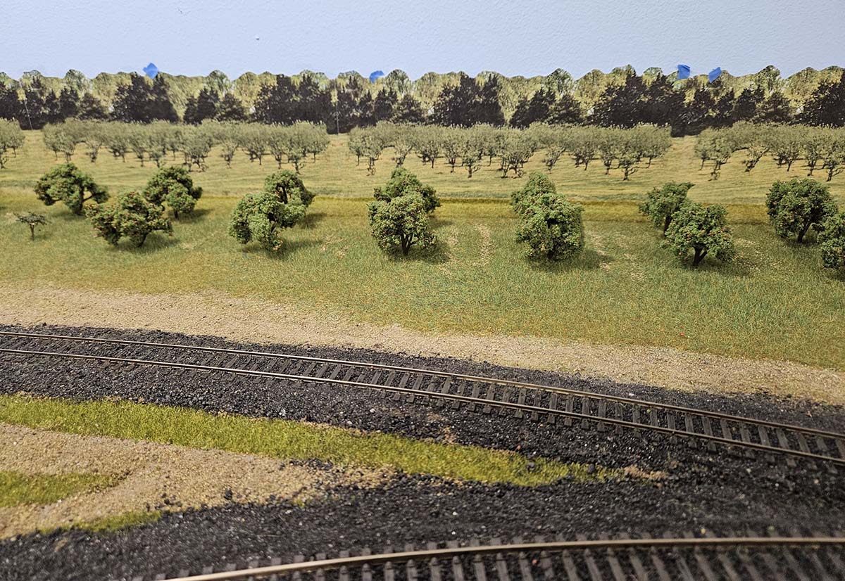 Orchard from Across the Tracks